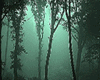 Voodoo Dark Jungle