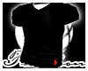 RALPH LAUREN POLO V NECK
