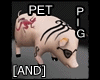 A~ Pet Pig Tribal Punk