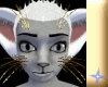 Product Image for Anim Gold Whiskers M