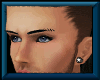 Black 3xcut eyebrows