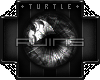 T. Ruins - Slate