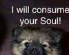 Reaper of Souls