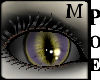(Poe) NEKOViz_Majesty