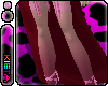 Club Cubid Stockings