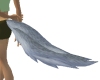 Gray Wolf Tail M&F