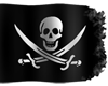 Pirate Flag w/text