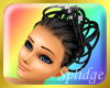Product Image for Black Fancy Hair & Gems
