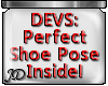 Perfect Shoe Pose