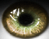 t| Gold Shine Eyes Male