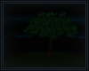 Lonely Hilltop Tree