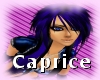 *UCA* Blue Black Caprice