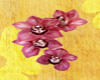 Flower n&deg;2