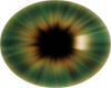 Green Gold Eyes