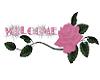 Pink Rose- Welcome