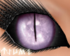 ~Tsu Lilac D.Doll Eyes