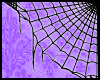 |Spider Web 2|
