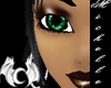 [X] Choco Anyskin Michel