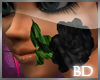 *Black Rose*