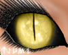 ~Tsu Gold D.Doll Eyes