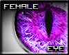 [SLW] Poison Feline