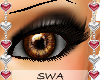 [SWA]Rikino Brown