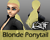 CJF Blonde Ponytail