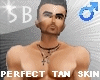 **SB PERFECT TAN SKIN