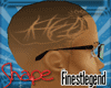 Fresh shape up v3