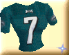 7 Michael Vick Top F