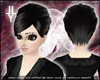 [LyL]Feng Korine