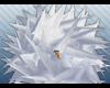 Ninpou Hari Jizou [M/F]