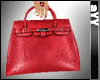 red ostrich leathern BK handbag