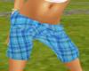 Product Image for Blue Plaid Shorts
