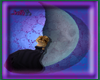 The MoonGirl Imvie