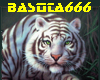 BAS Modern Talking 01
