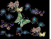 Night Butterflies
