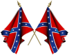 confederate flag 2