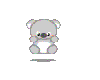 Shocked Koala
