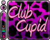 Club Cupid Ai Bundle