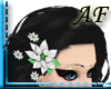 [AF]White Poinsettia Bla