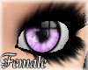 iClear Lilac [F]