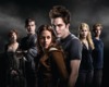 Product Image for Twilight Living