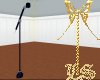LS Tanz Mic