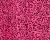 2 sided hot pink bg