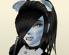 Scottish Fold Ears [Y]