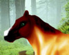 Red Roan