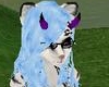 Ice Rain Teri
