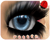`r Full Lashes | Swanky