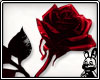 Red/Black Rose